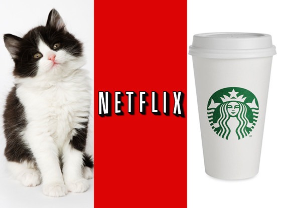 Kitten, Netflix, Starbucks