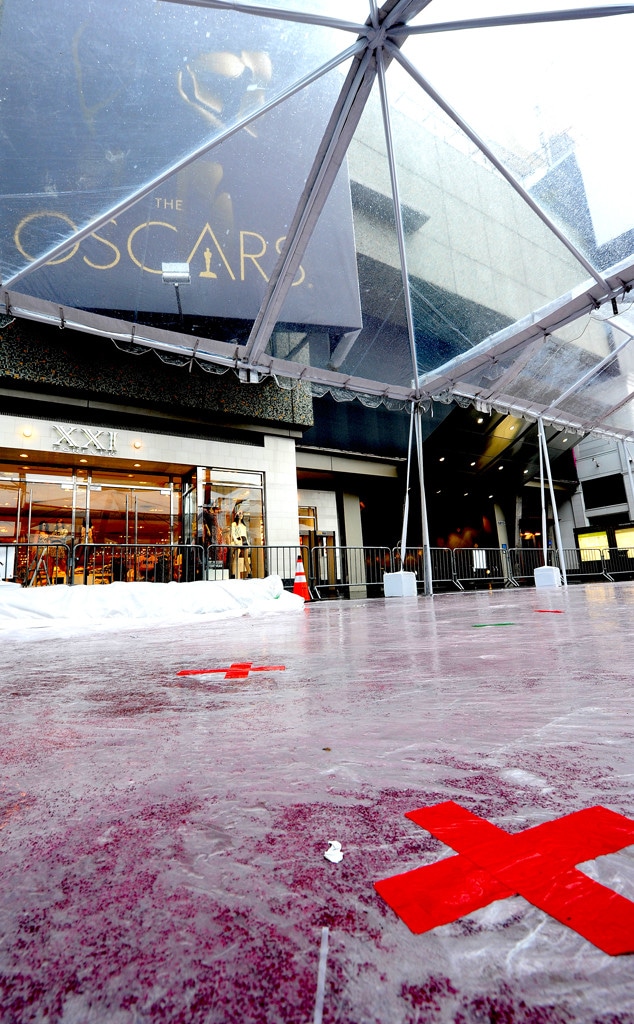 Oscars Red Carpet Rain Cover