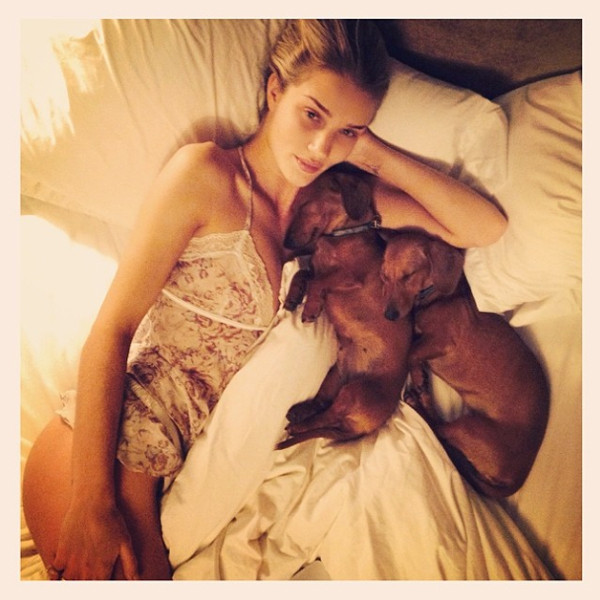 Rosie Huntington-Whiteley Models Pajamas & Lingerie for Autograph