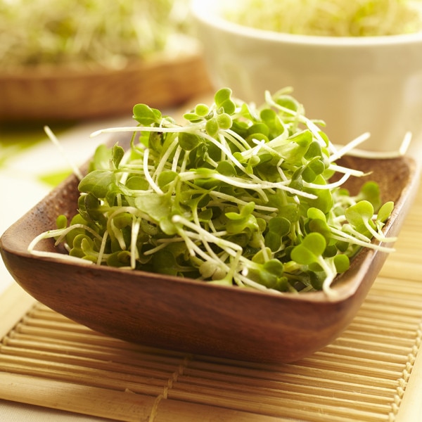 Broccoli Sprouts from 10 Foods to Boost Your Health This Spring E! News