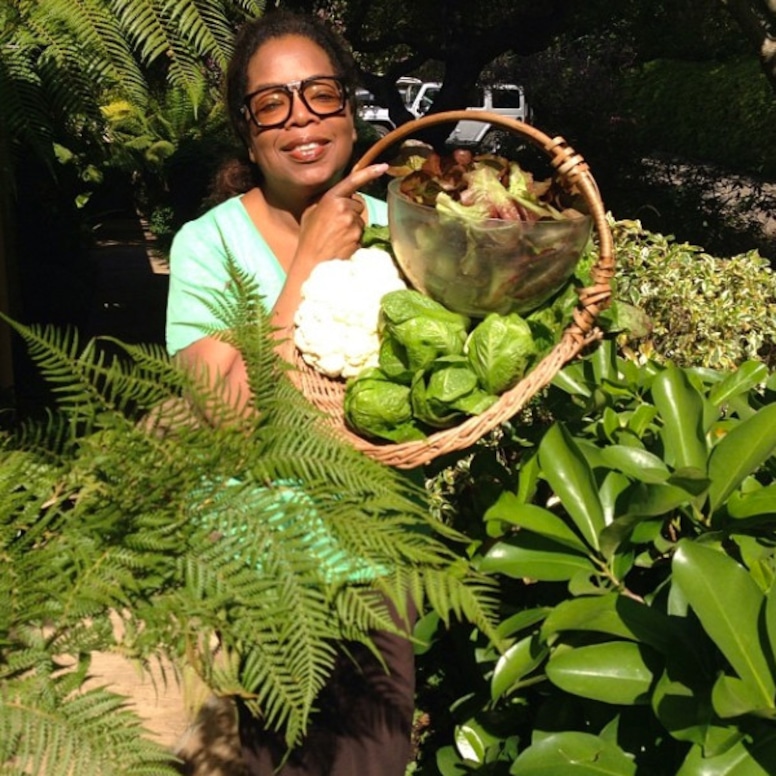 Photos From Oprah S Bountiful Gardens E Online Photos From Oprah S Bountiful Gardens E Online