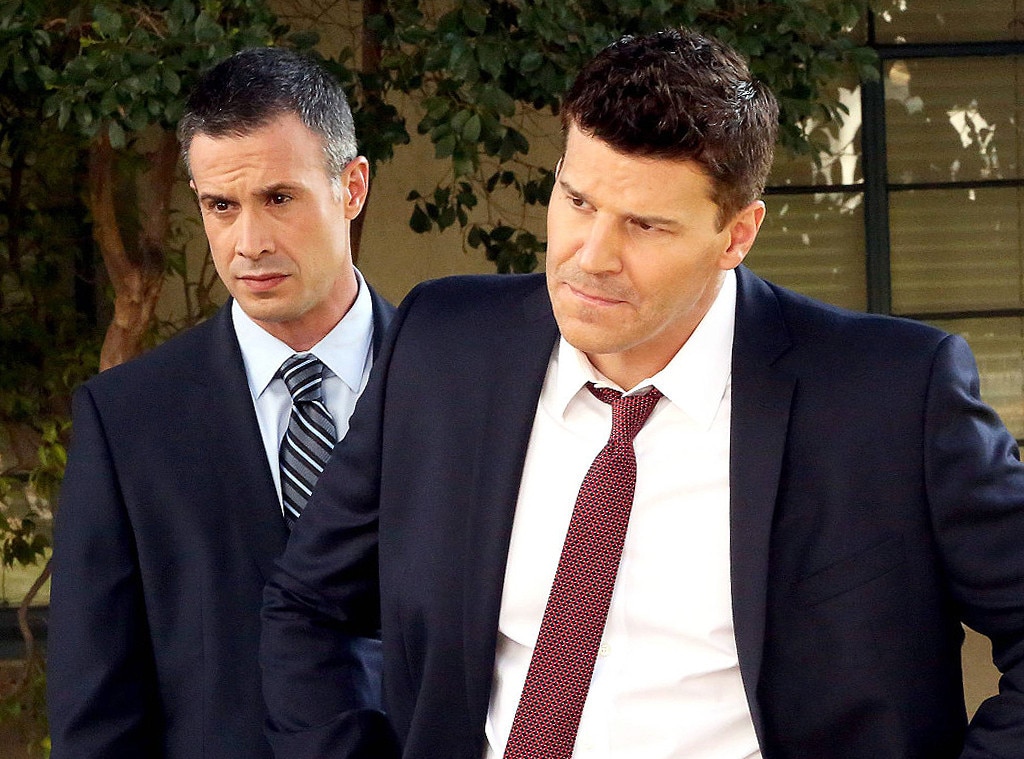 David Boreanaz, Bones from 64 of the Hottest Men on TV | E! News