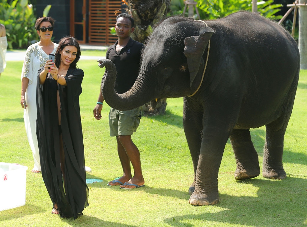 Kim Kardashian, Elephant