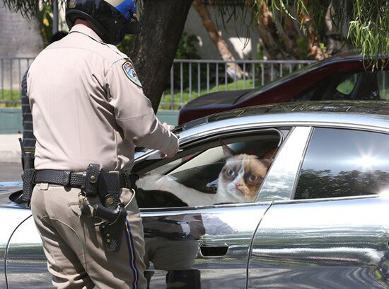 She'll Drive While Intoxicated from The Inevitable Meltdown Of Grumpy ...