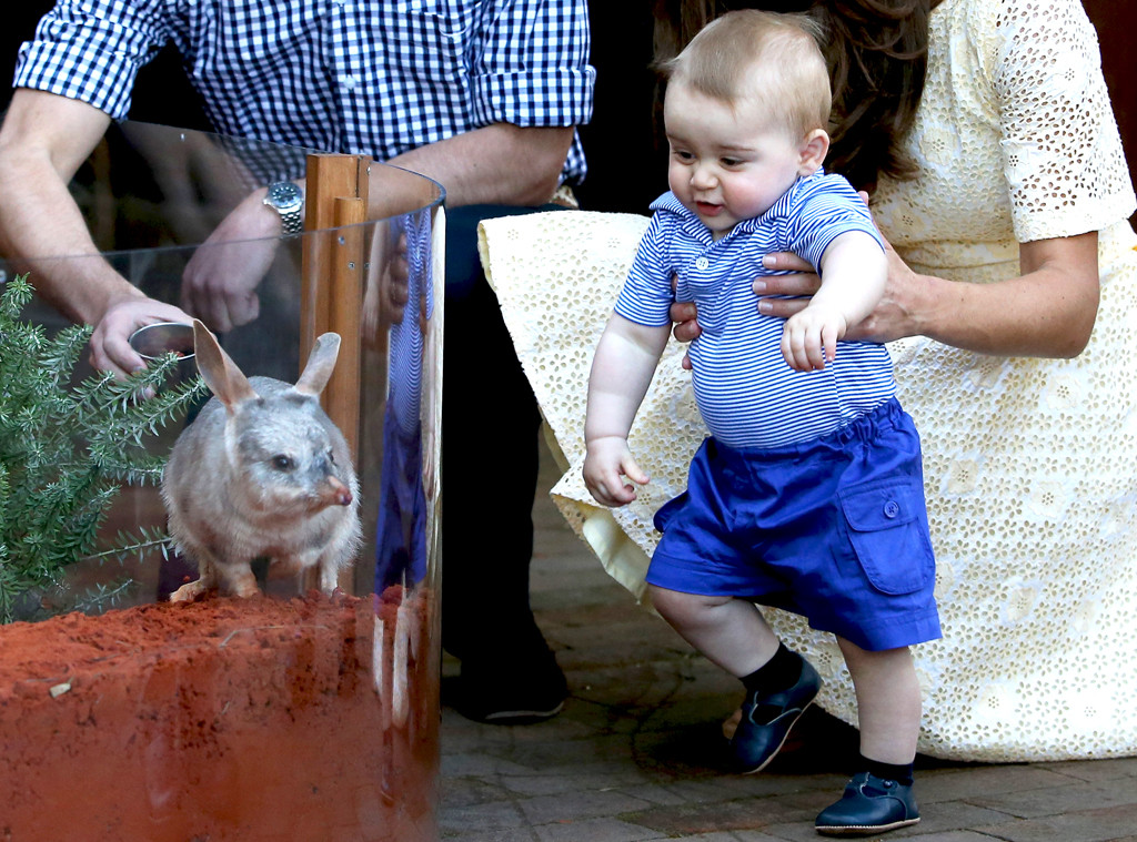 Kate Middleton, Duchess of Cambridge, Prince William, Prince George Kate Middleton, Duchess of Cambridge, Prince William, Prince George