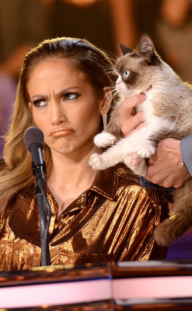 Jennifer Lopez, Grumpy Cat