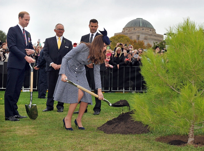 Prince William, Kate Middleton, Catherine Duchess of Cambridge