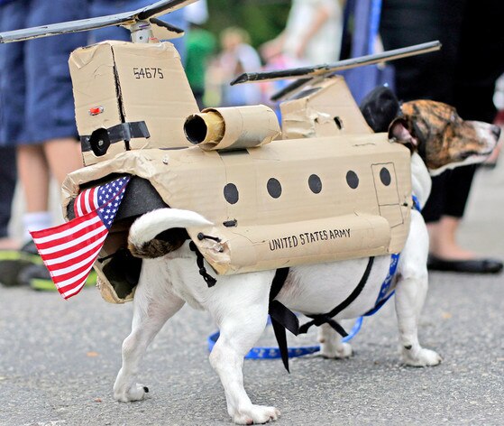 There's an Annual Doggie Costume Contest in Texas That Looks Like the ...