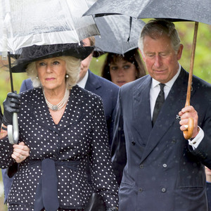 Camilla Parker Bowles' Brother Laid to Rest After Tragic New York ...