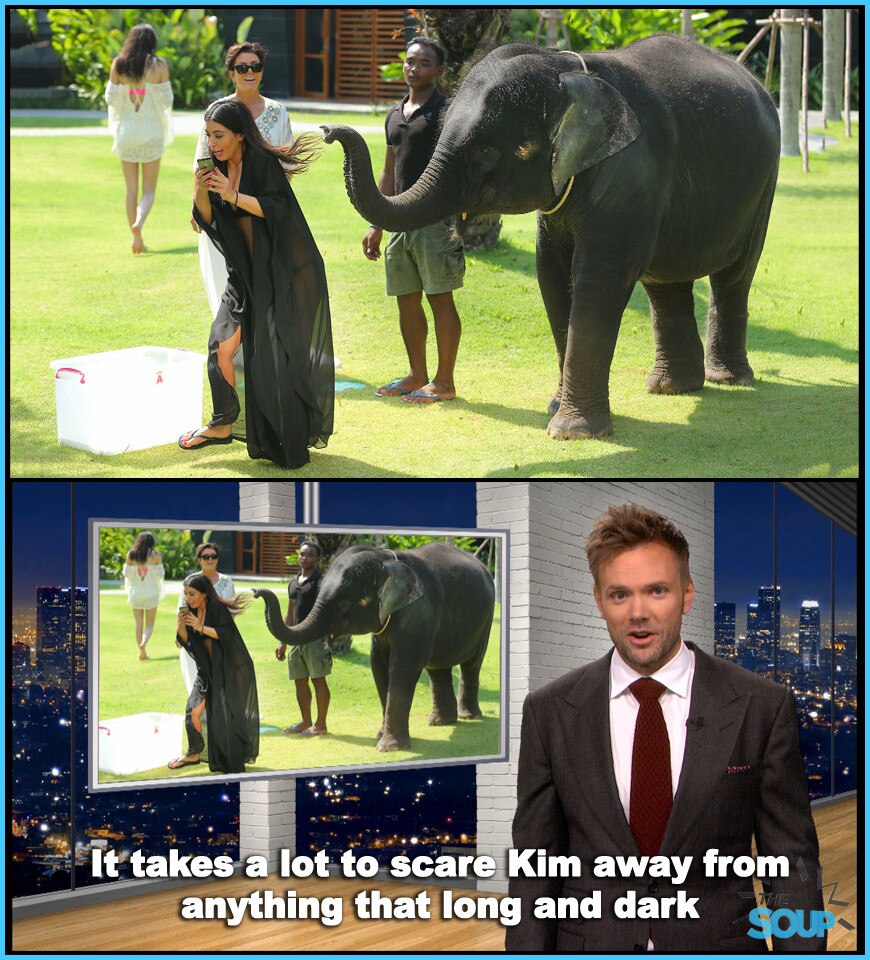 Kim and the Elephant from The Soup In Pictures E! News