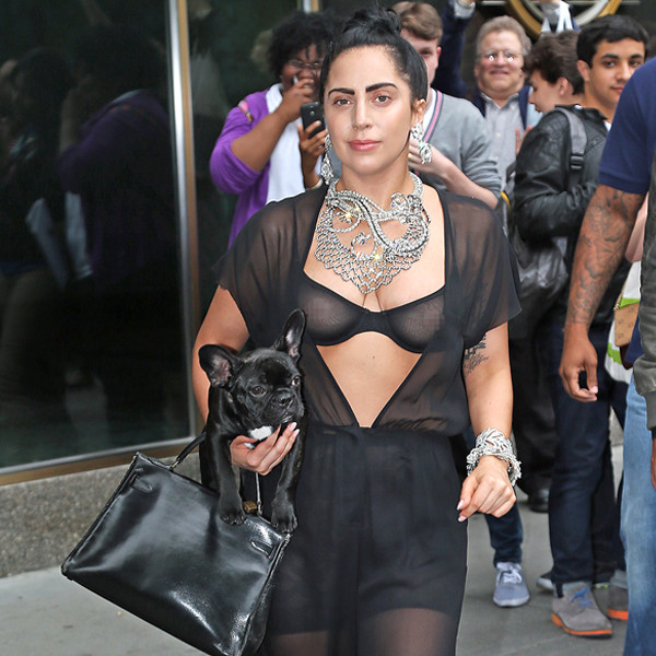 Lady Gaga Flashes Nipples in Sheer Black Outfit