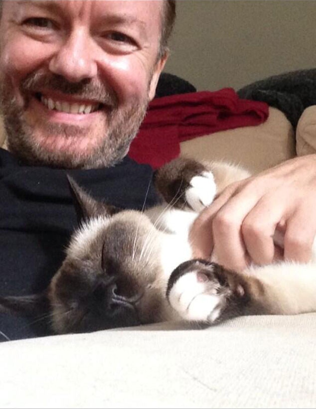 Ricky Gervais from Celebs With Cats E! News