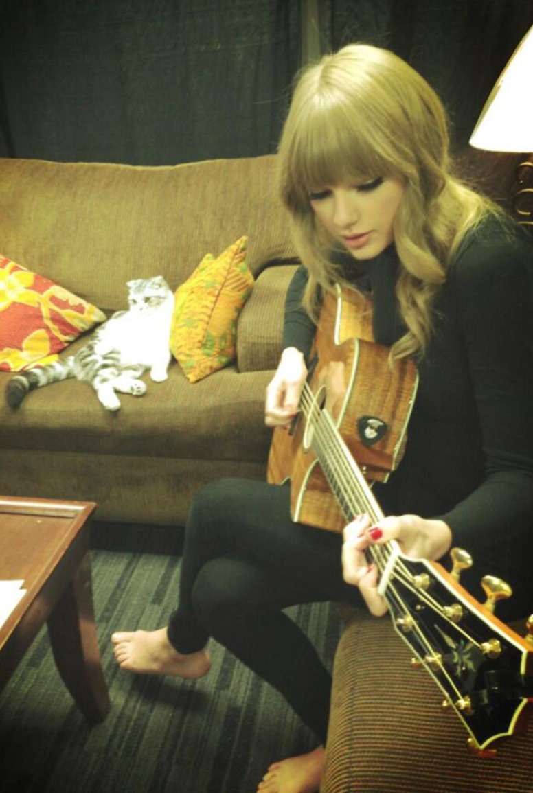 Taylor Swift, Cat, Meredith, Celeb with Cats