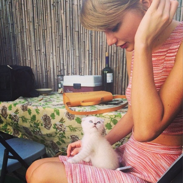 Taylor Swift, Olivia Benson, Instagram