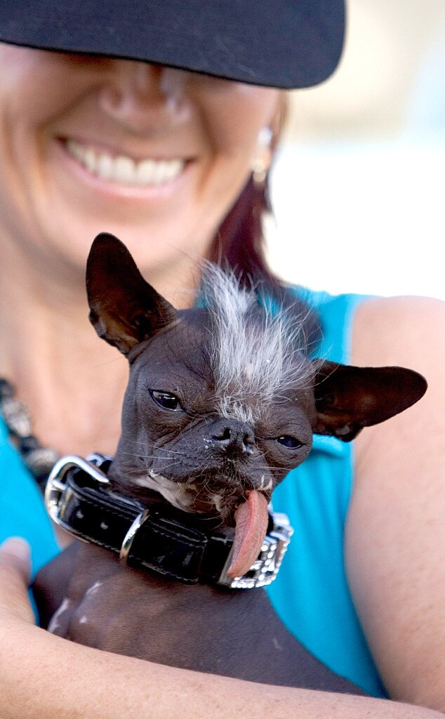 2007 World's Ugliest Dog Contest Winner from World's Ugliest Dog