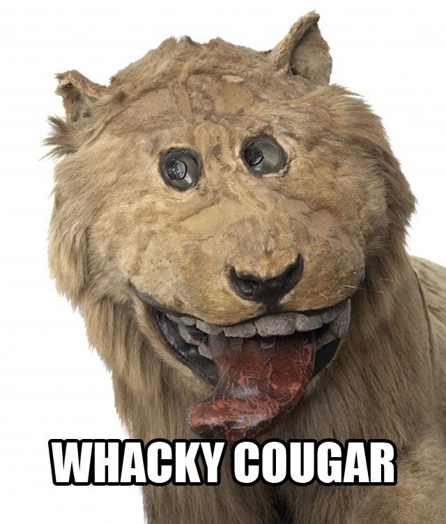 Whacky Cougar From Terrible Taxidermy With Appropriate Names E News 