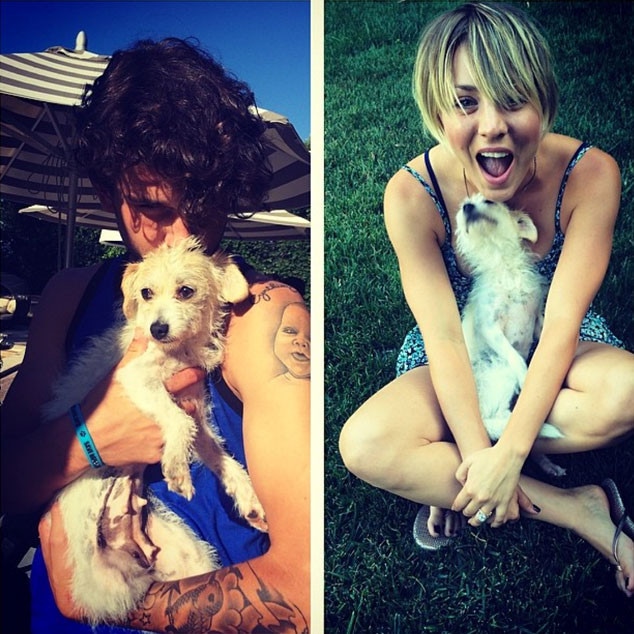 Kaley Cuoco, Ryan Sweeting, Dog