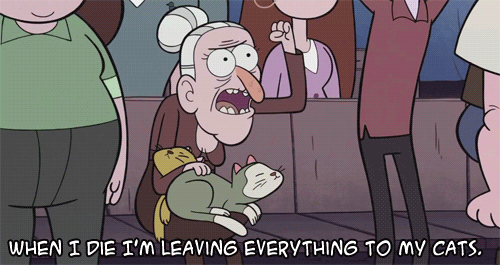 18 Weird Habits Cat Owners Are Guilty Of Having E Online