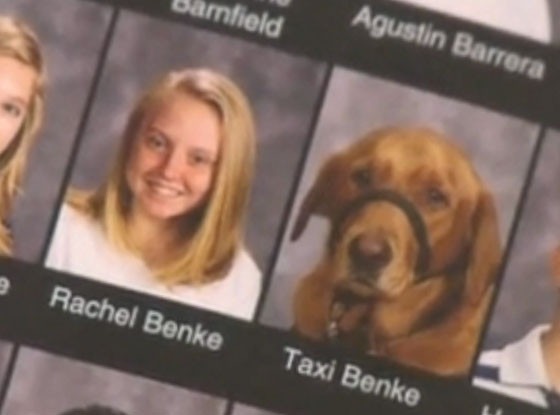 Yearbook Dog