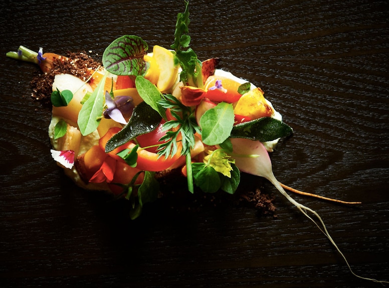 Niche, Honey Vegetable Salad by Chef Gerard Craft, Food Presentation Gallery