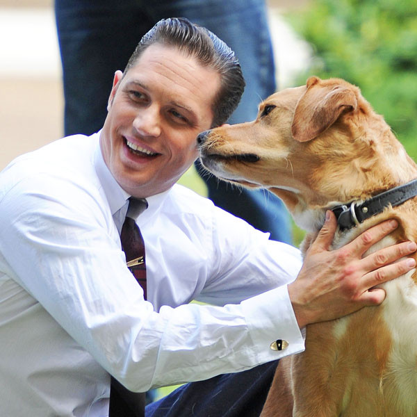 Tom Hardy Loves Dogs—See Photos of the Actor With His Furry Friends