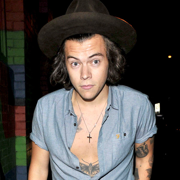 Harry Styles Fan Fiction Writer Says It's Kinda Like 50 Shades - E! Online