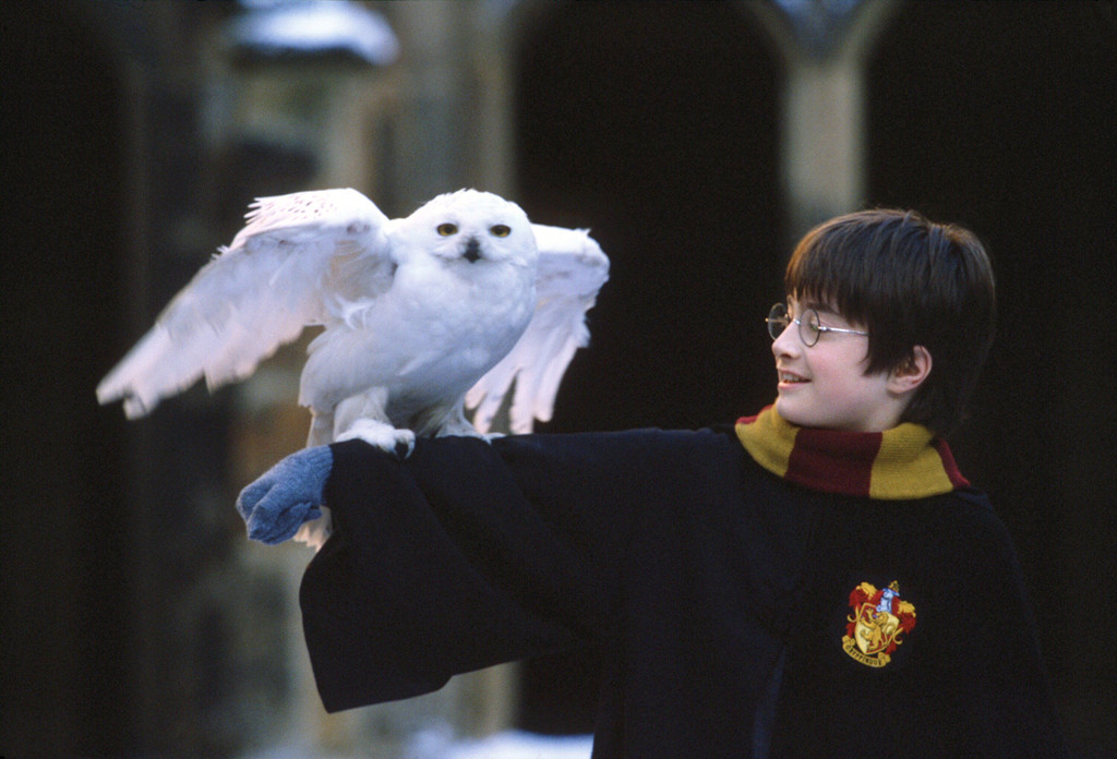 Carta de aceitação de Harry Potter em Hogwarts vai a 