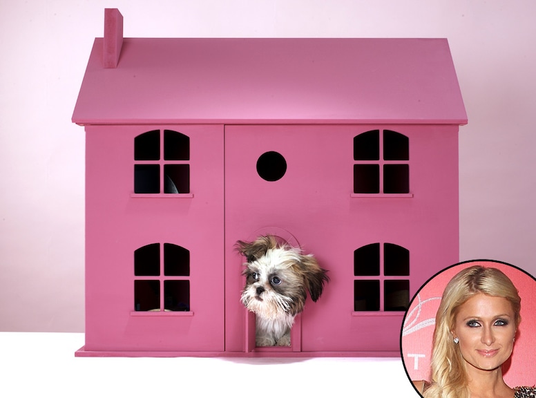 Paris Hilton, Rich Celebs