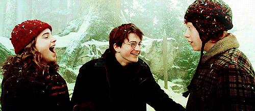 Diretor de Harry Potter quer fazer mais um filme sobre Harry, Rony e Hermione - E! Online Brasil