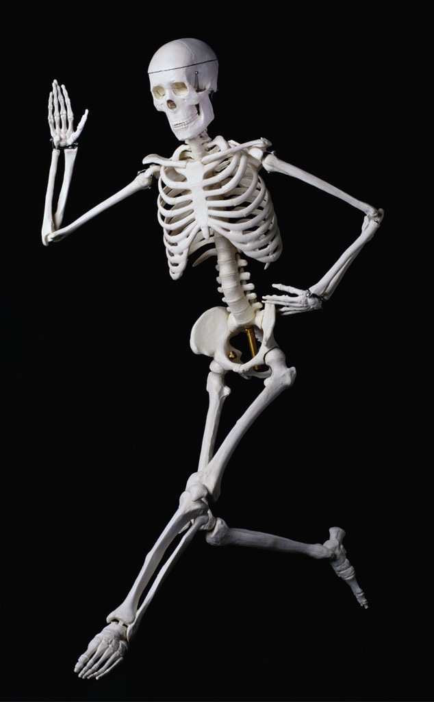 Body misconceptions, skeleton
