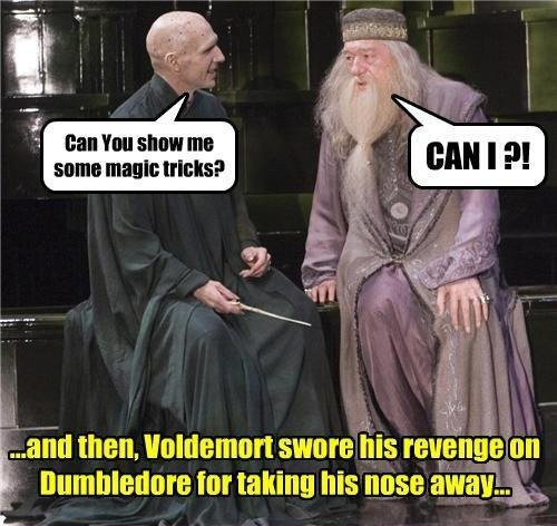 What the flip in 2020, Harry potter jokes, Harry potter memes hilarious, Harry  potter funny
