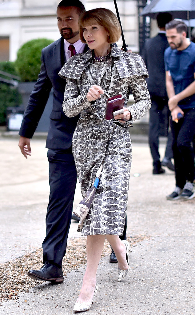 Anna Wintour from Paris Haute Couture Fashion Week 2014: Star Sightings