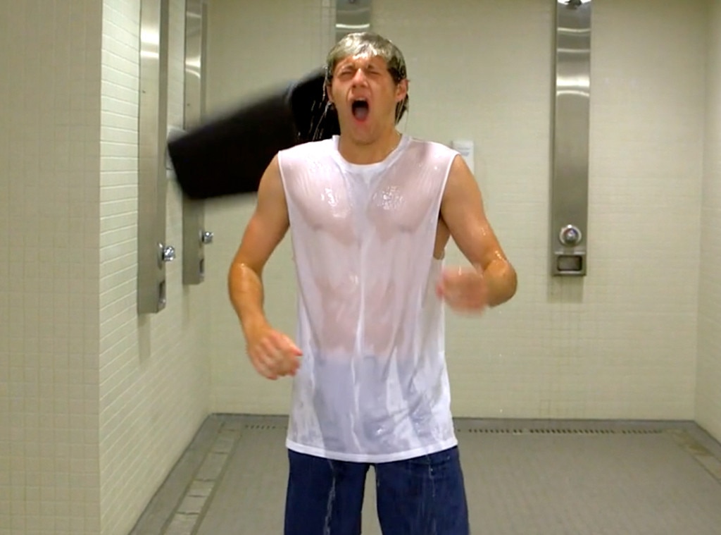 Niall Horan from ALS Ice Bucket Challenge Stars Who've Accepted E! News