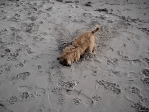 22 Things Movies Make Look Really Easy E Online