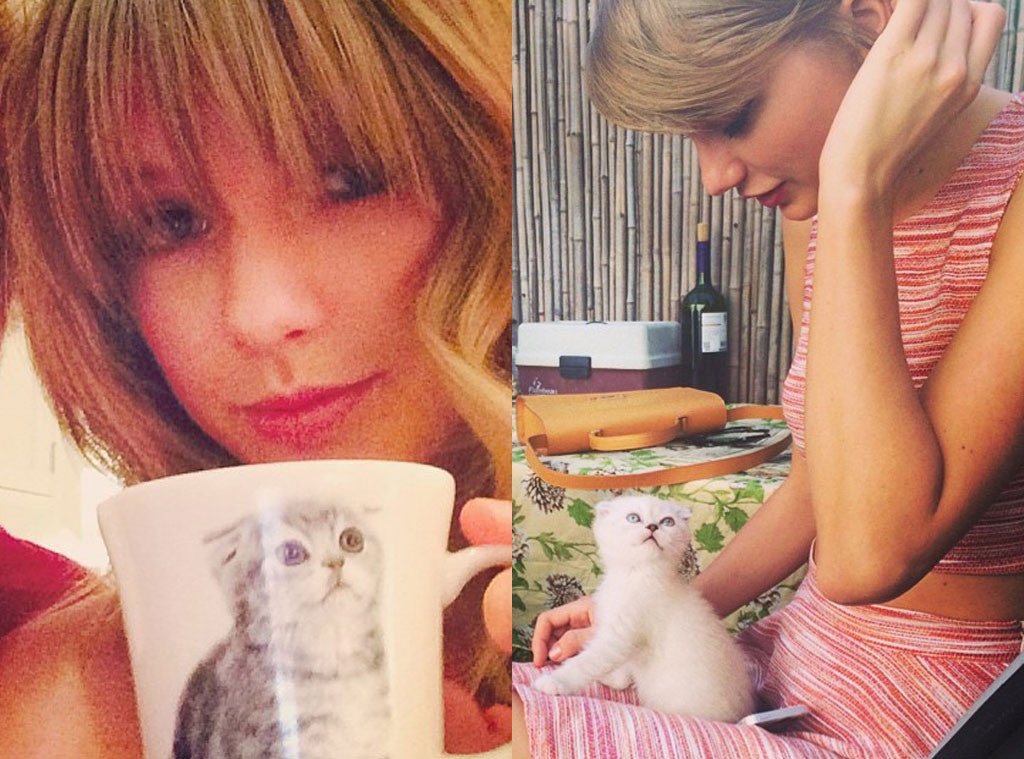 Taylor Swift's Cat Obsession