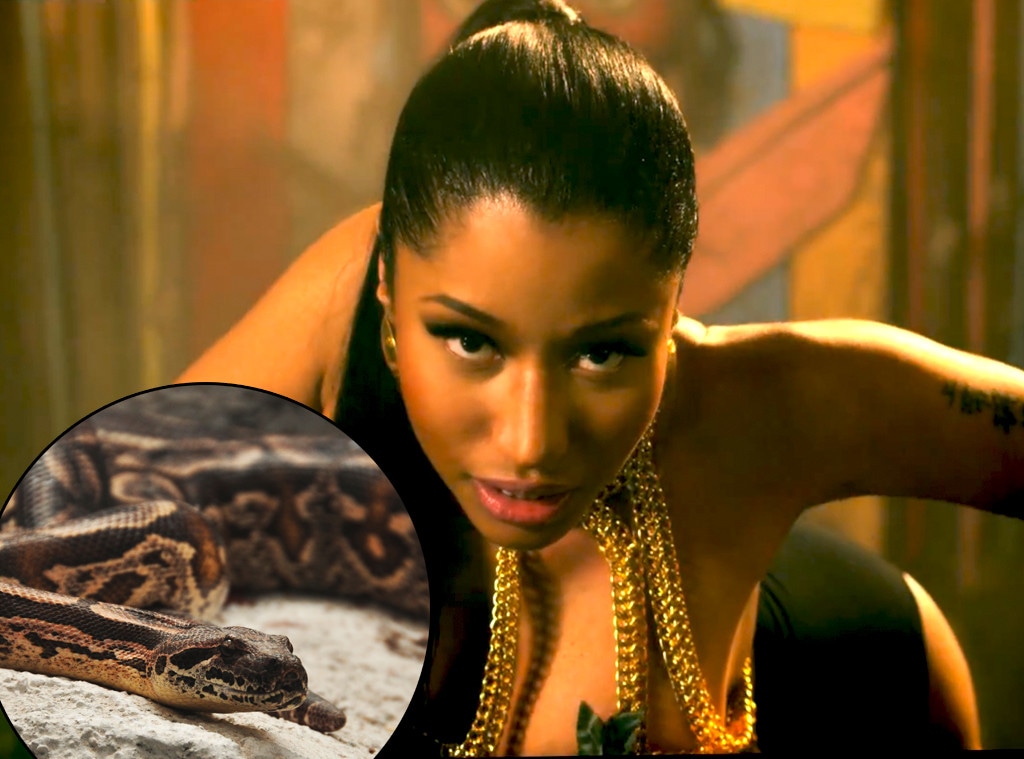 Nicki Minaj, Snake