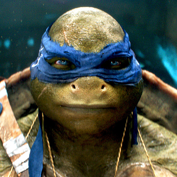 Teenage Mutant Ninja Turtle Costume- Raphael for Sale in Vernon