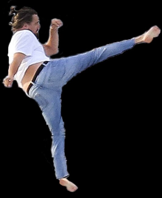 leo howard karate moves