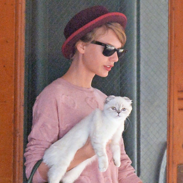 Taylor Swift Explains Why She Carries Her Cat Around NYC!