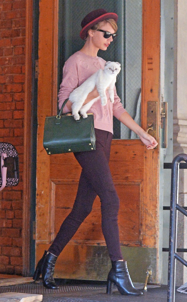 Taylor swift 2024 with cat backpack