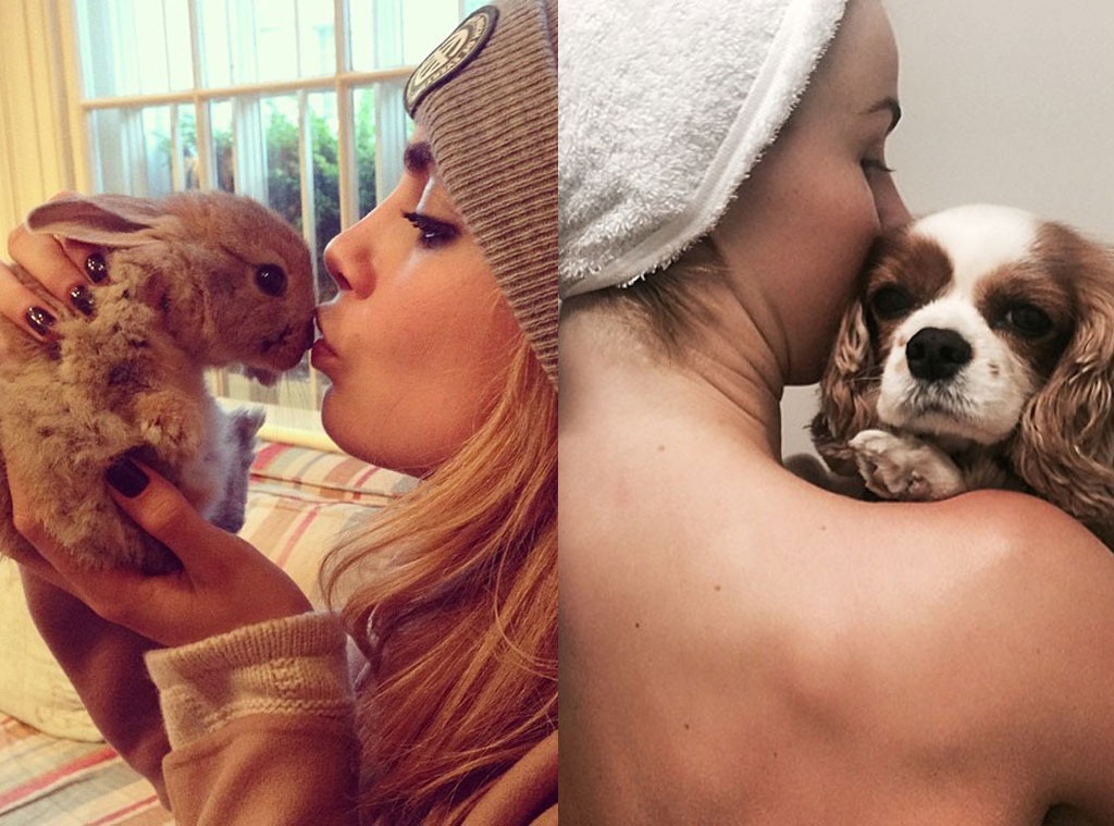 Celebs With Animals