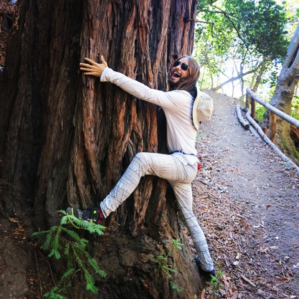 More Jared Leto Tree Hugging! Let Round 2 of the Meme Begin | E! News