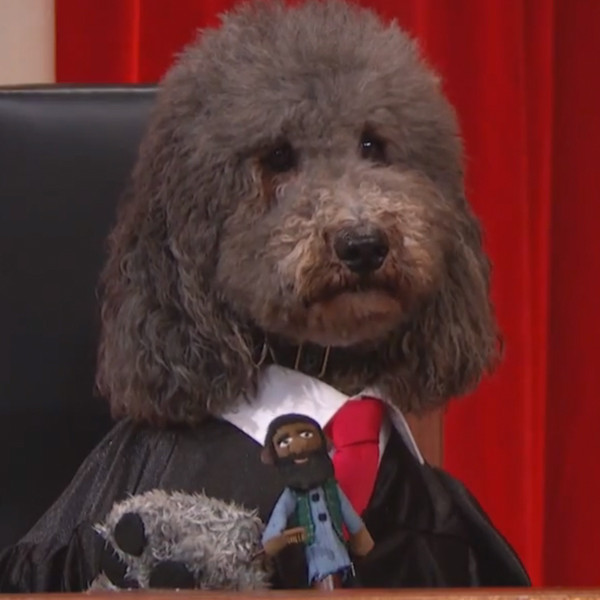 Watch the Supreme Court Go to the Dogs on Last Week Tonight - E! Online