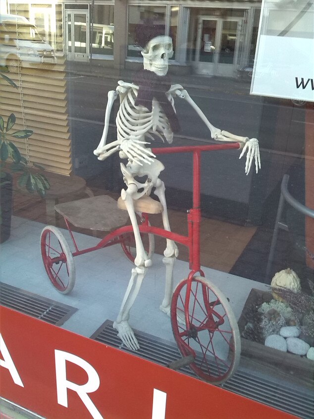 Spooky Bike Skeleton from This Gallery Is Way Too Spooky E! News