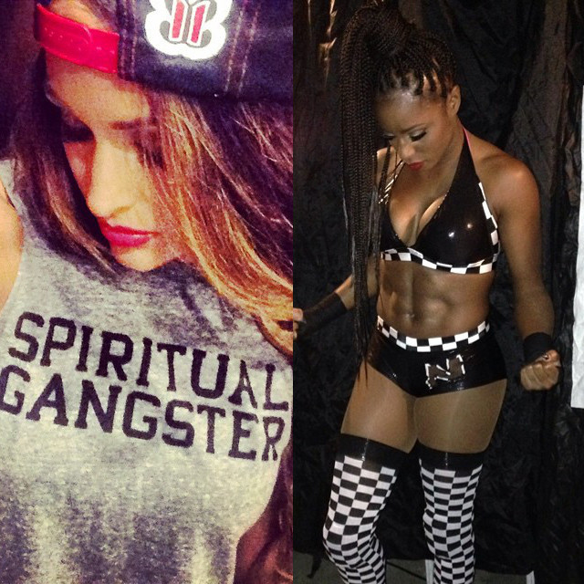 WWE Divas Championship Poll Results RevealedWho Won?