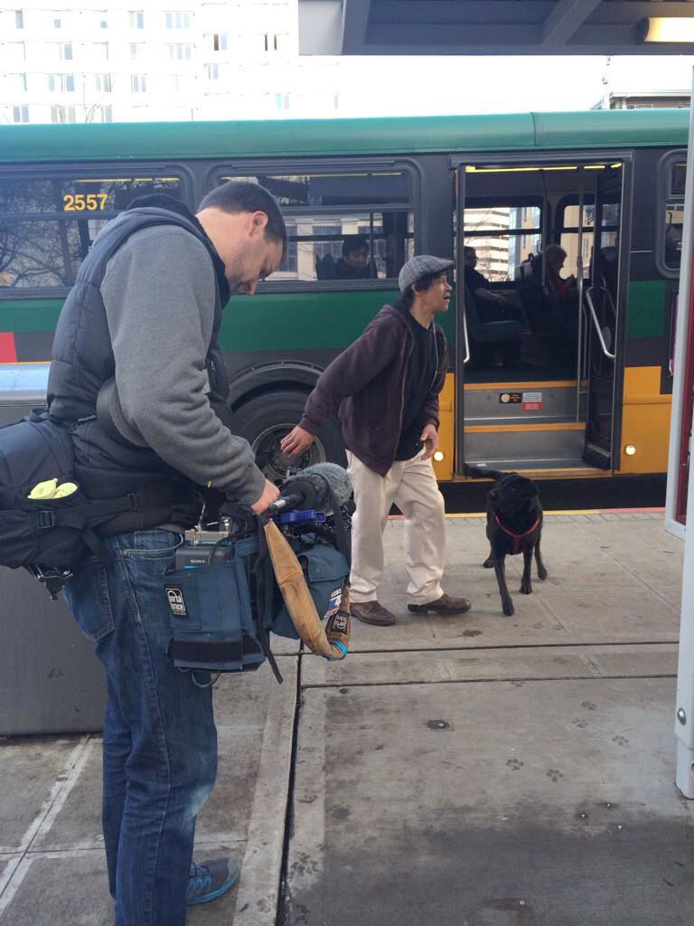 This Seattle Dog Was Sick of Waiting for Her Owner, So Now She Rides