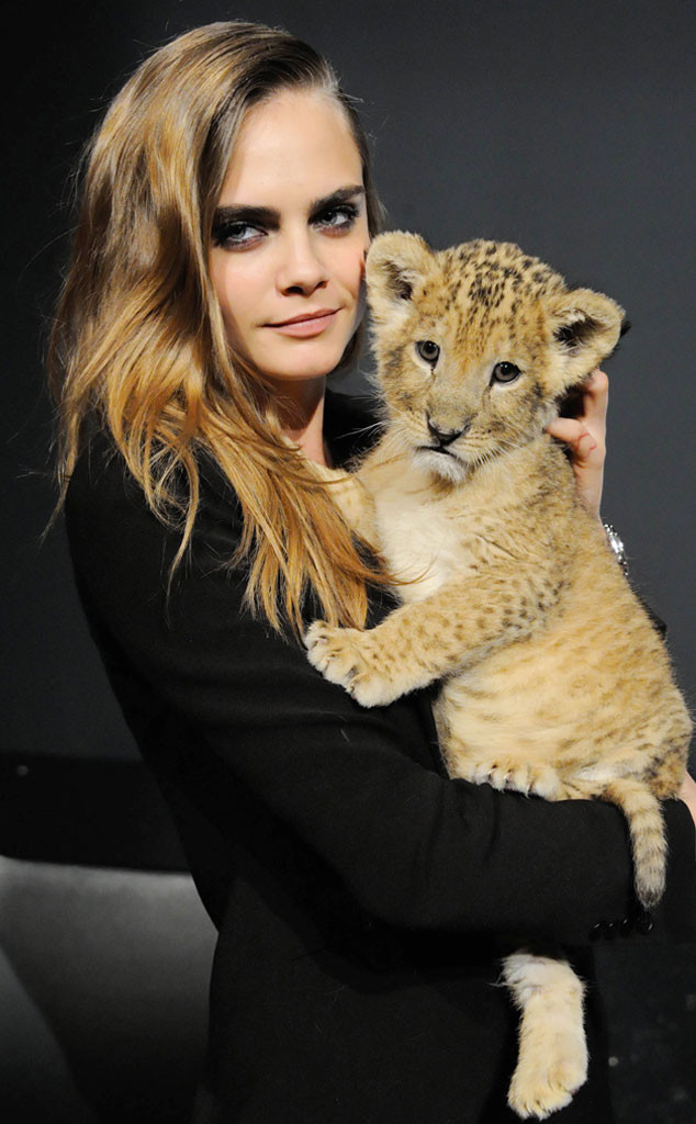 Cara Delevingne, Lion Cub