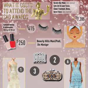 How Much Would It Cost For You To Attend The Sag Awards E News