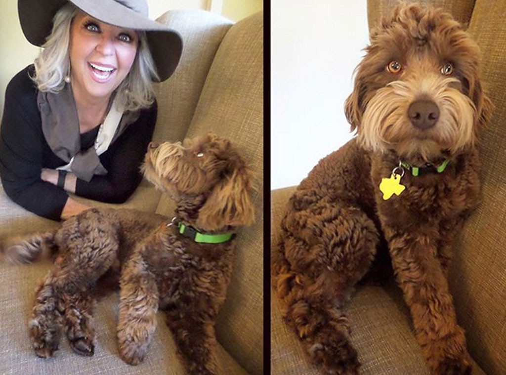 Paula Deen from Celebrity Pets Miley Cyrus' Puppy, Taylor Swift's Cat