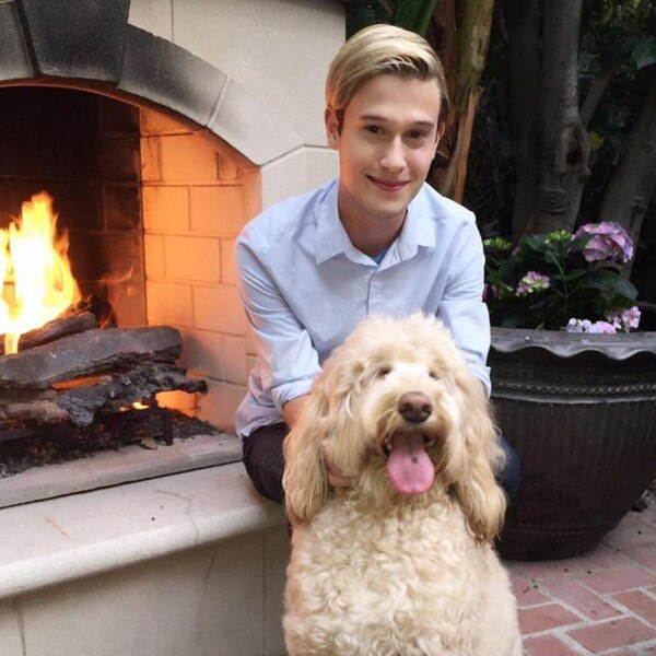 Tyler Henry, Hollywood Medium
